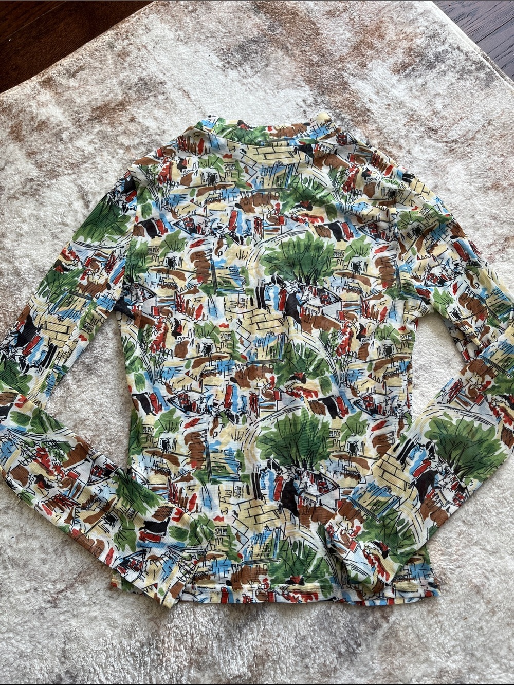 Multicolor Scenic Print Long-Sleeve Shirt